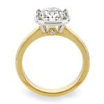 DropboxDONE.LunaB_45255_Finished Luna side view